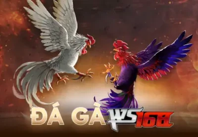 DA88 Đá Gà Live Ws168